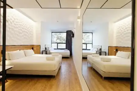 Green House - 59