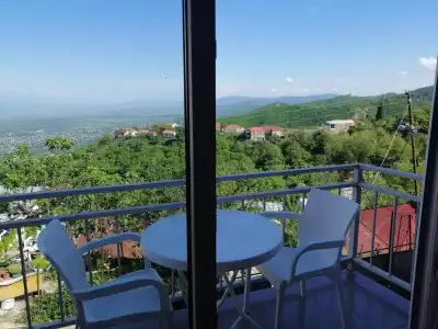 Guest House Alazani Valley - 9