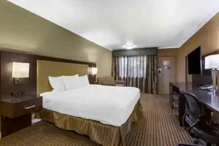 Royal Sun & Suites - 55