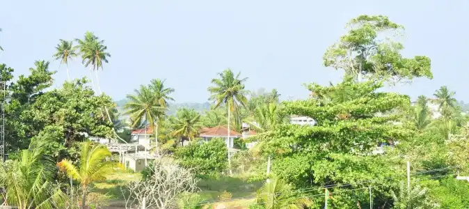 Brizo - 18