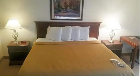 Alex and Suites - 48