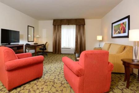 Hilton Garden Inn Greensboro Airport - 114