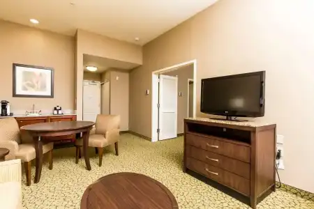 Hilton Garden Inn St. George - 55