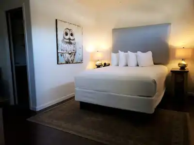 The Iron Horse Inn - 38