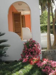 Poggio Aragosta & Spa - 66