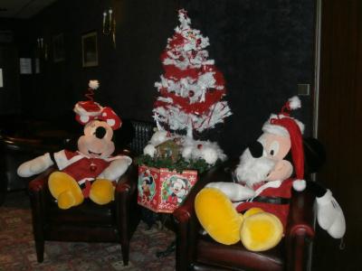Hôtel Metropol - 14