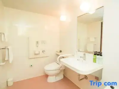 Comfort Inn Utsonomiya Kanuma - 29