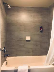 Sakura Inn - 29