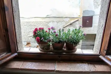 Fattoria San Donato - 127