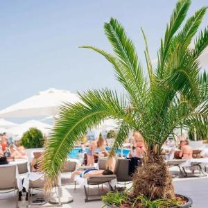 Bono Beach - 17