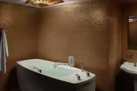 Spa Villa Smetana - 27