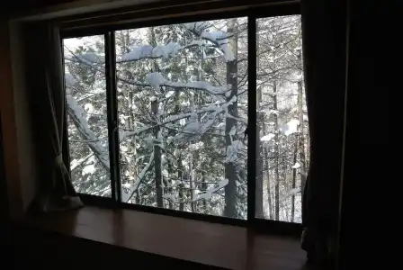 White Tree Lodge - 17