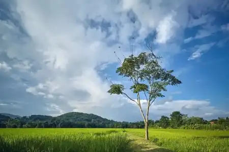 Bambuh Boutique Homestay - 175
