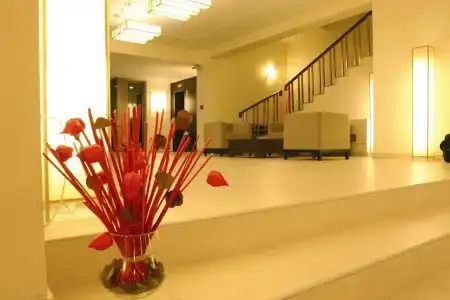 HVD Lotos - 16