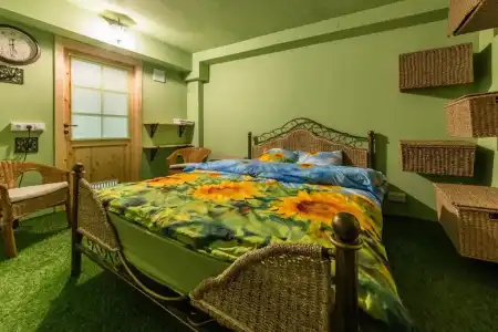 Garden Camping - 42