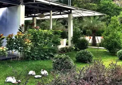 V Valley Resort - 24