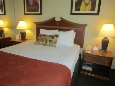 Best Western Seven Seas - 54