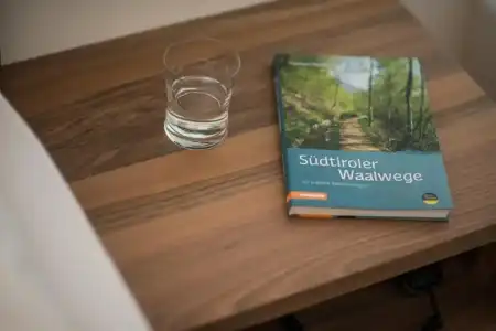 Salgart - 13