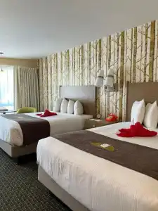 Bar Harbor Motel - 64