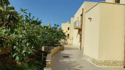 al paradise - 37
