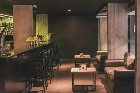 Anselmo Buenos Aires Curio Collection By Hilton - 25