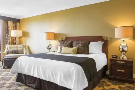 Omni Houston - 5