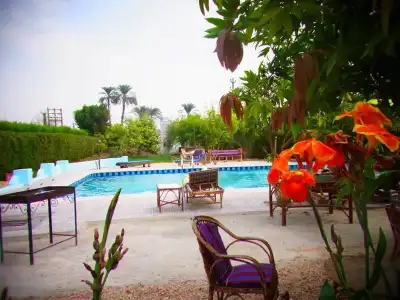 Nile Compound - 12