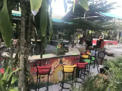 Rasta House - 26