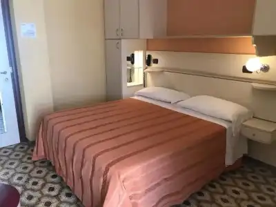 Flamingo - 1