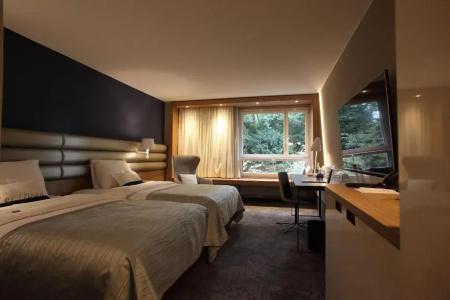 Mövenpick Lausanne - 53