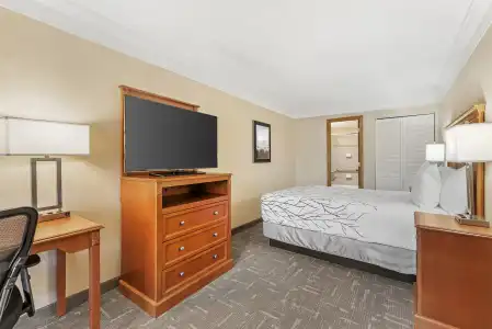 Best Western Plus Silver Saddle Inn - 5