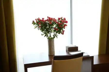 Pirimze Plaza - 61