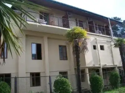 Magnolia Agmashenebeli - 0
