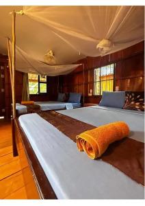 Dolphin Bay Resort - 64