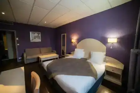 Logis Hôtel Darcy Dijon Centre - 23