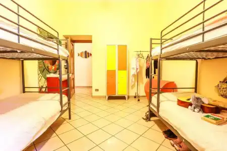 The Beehive Hostel - 35