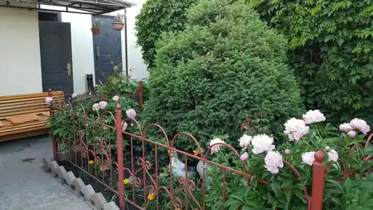 Guest House Domashniy Uyut - 12