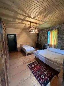 Mushkudiani Manor - 37