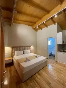 Arial Penthouse Suites - 103