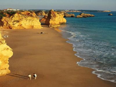 Lagosmar - 22