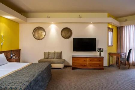 Olive Tree - 58