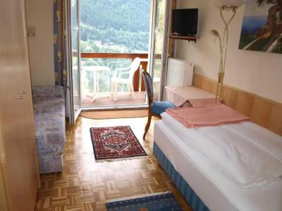 Alpenblick - 38