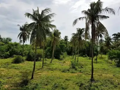 Sea Smile Resort - 43