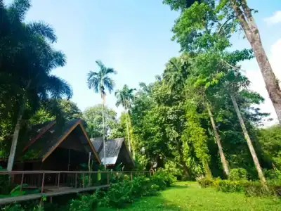 Khao Sok Riverside Cottage - 137
