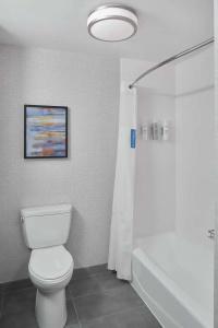 Hampton Inn & Suites Saratoga Springs Downtown - 56