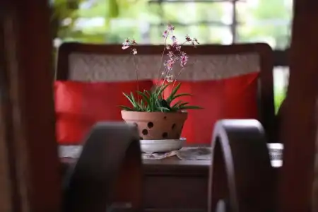 Baan Tye Wang - 8