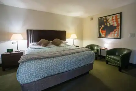 Lemon Tree Inn - 69