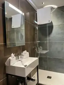 Logis Hôtel Borel - 71