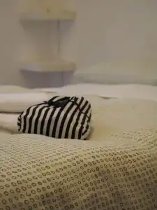 Moshi Moshi B&B - 14
