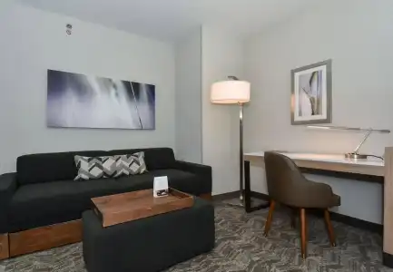 SpringHill Suites Charlotte City Center - 32